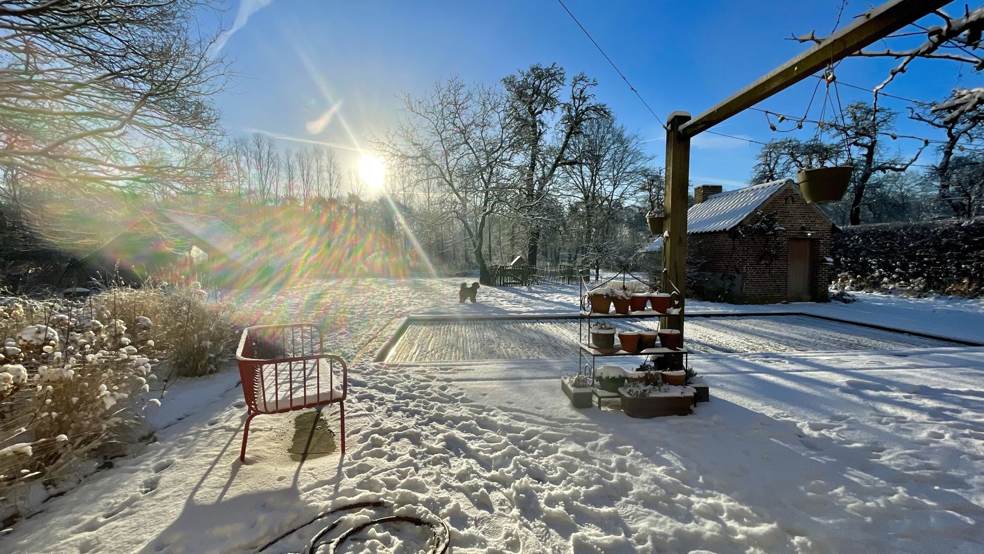 Onze tuin onder de sneeuw op een zonnige winterochtend